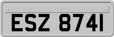ESZ8741