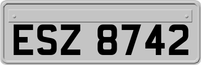 ESZ8742