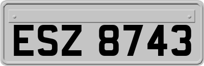 ESZ8743