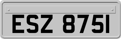 ESZ8751