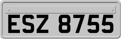 ESZ8755