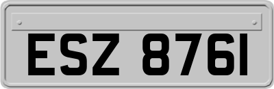 ESZ8761