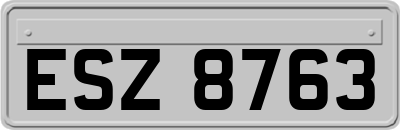 ESZ8763