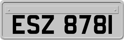 ESZ8781