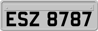 ESZ8787