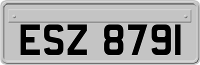 ESZ8791