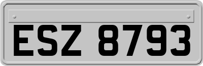 ESZ8793