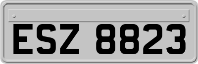 ESZ8823