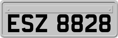 ESZ8828