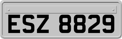 ESZ8829