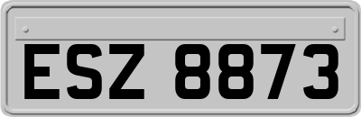 ESZ8873