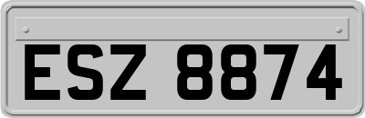 ESZ8874