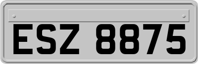 ESZ8875