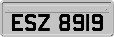 ESZ8919