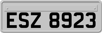 ESZ8923