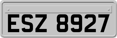 ESZ8927