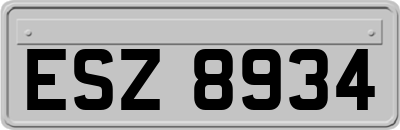 ESZ8934