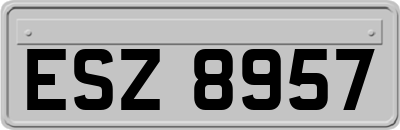ESZ8957