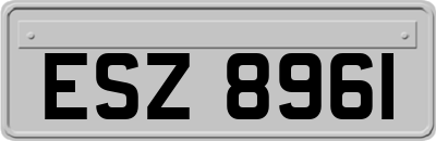ESZ8961