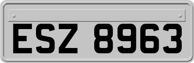 ESZ8963