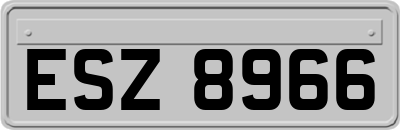 ESZ8966