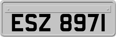 ESZ8971