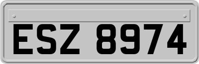 ESZ8974