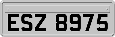 ESZ8975