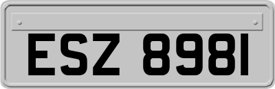 ESZ8981