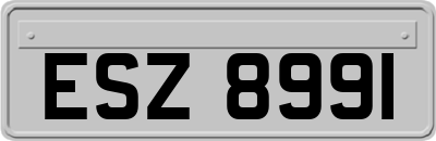 ESZ8991