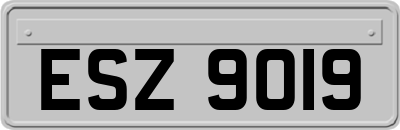 ESZ9019