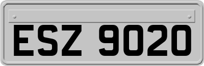 ESZ9020