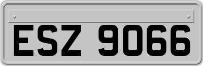 ESZ9066