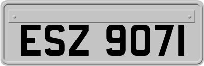 ESZ9071