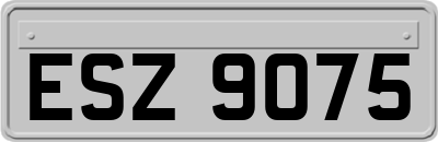 ESZ9075