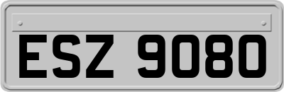 ESZ9080
