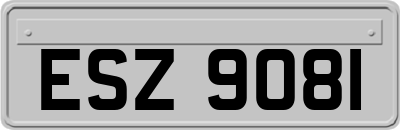 ESZ9081