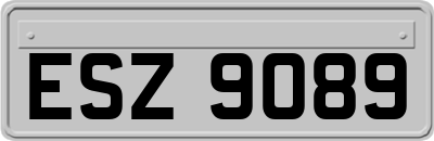 ESZ9089