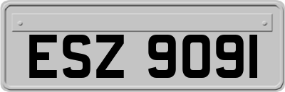 ESZ9091