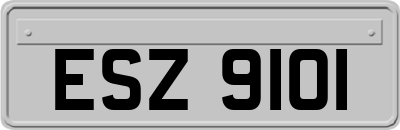 ESZ9101