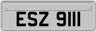 ESZ9111