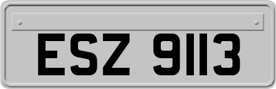 ESZ9113
