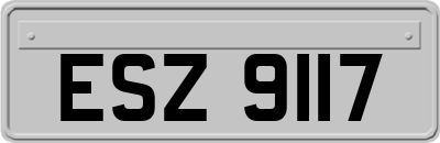 ESZ9117