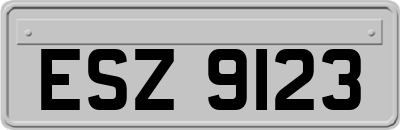 ESZ9123