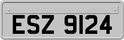 ESZ9124