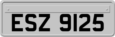 ESZ9125