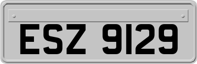 ESZ9129