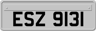 ESZ9131