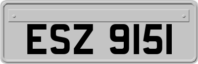 ESZ9151