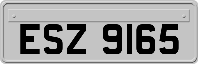 ESZ9165
